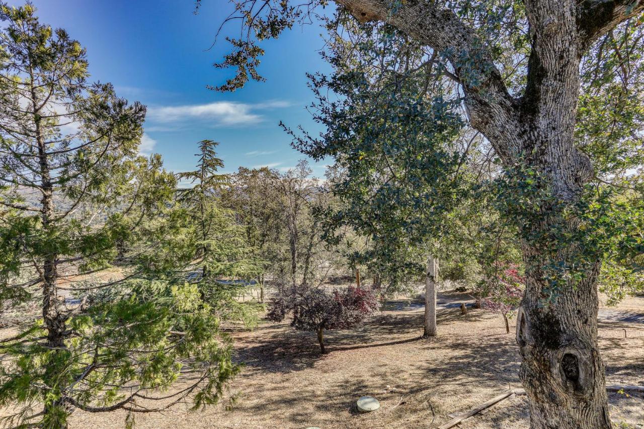 Cozy Studio With Well-Being Retreat Near Yosemite! أهواهني المظهر الخارجي الصورة